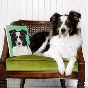 Custom 8x10 Pet Portrait dog cat canvas acrylic